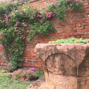 Garden Houses Appartamento